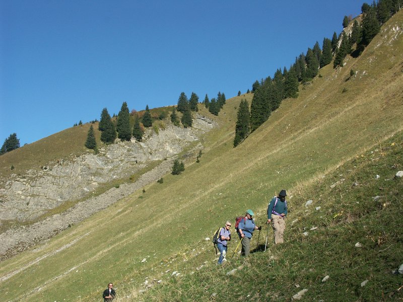 Clic ici pour voir l'image suivante