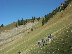 Cliquer pour agrandir l'image (800x600 pixels; 121 KB)