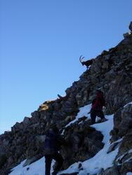 Cliquer pour agrandir l'image (450x600 pixels; 42 KB)