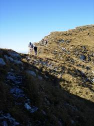 Cliquer pour agrandir l'image (450x600 pixels; 67 KB)