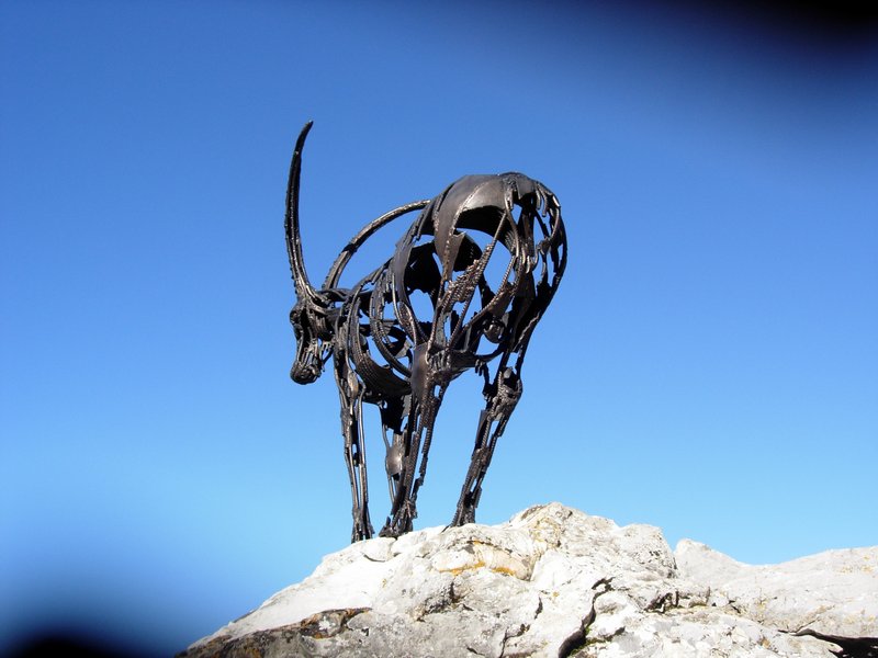 Clic ici pour voir l'image suivante