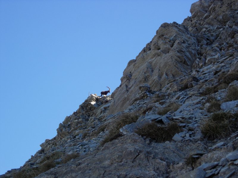 Clic ici pour voir l'image suivante