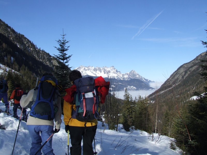 Clic ici pour voir l'image suivante