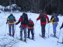 Cliquer pour agrandir l'image (800x600 pixels; 93 KB)