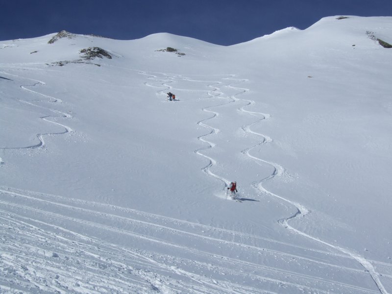 Cliquer pour voir l'image suivante