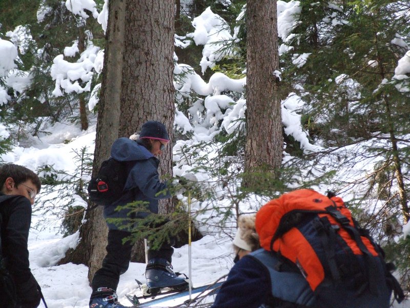 Cliquer pour voir l'image suivante