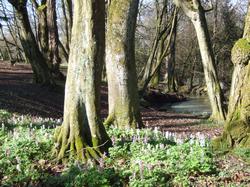 Cliquer pour agrandir l'image (800x600 pixels; 203 KB)