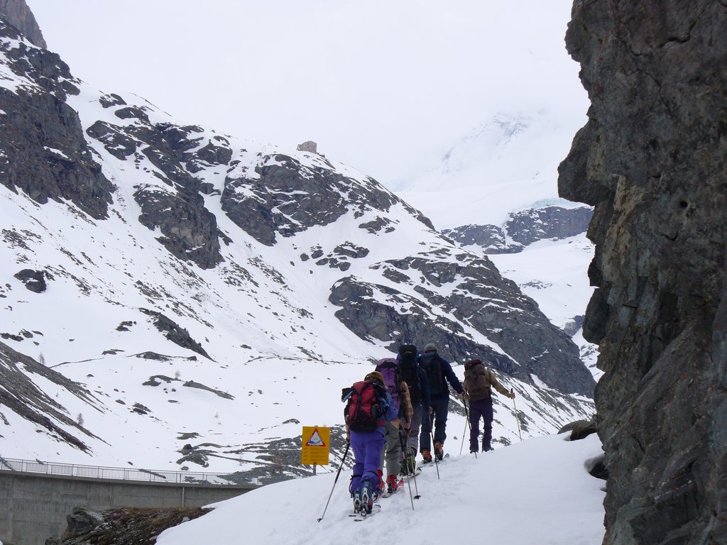 Cliquer pour voir l'image suivante