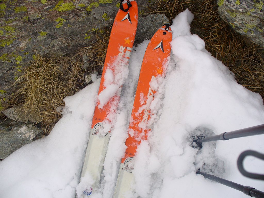 Cliquer pour voir l'image suivante