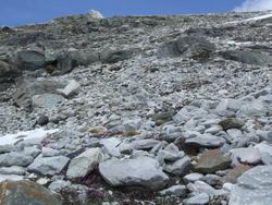 Cliquer pour agrandir l'image (1024x768 pixels; 229 KB)