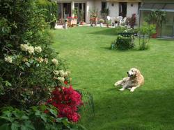 Cliquer pour agrandir l'image (2592x1944 pixels; 14762 KB)