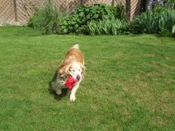 Cliquer pour agrandir l'image (2592x1944 pixels; 14762 KB)