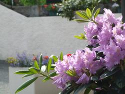 Cliquer pour agrandir l'image (2592x1944 pixels; 14762 KB)