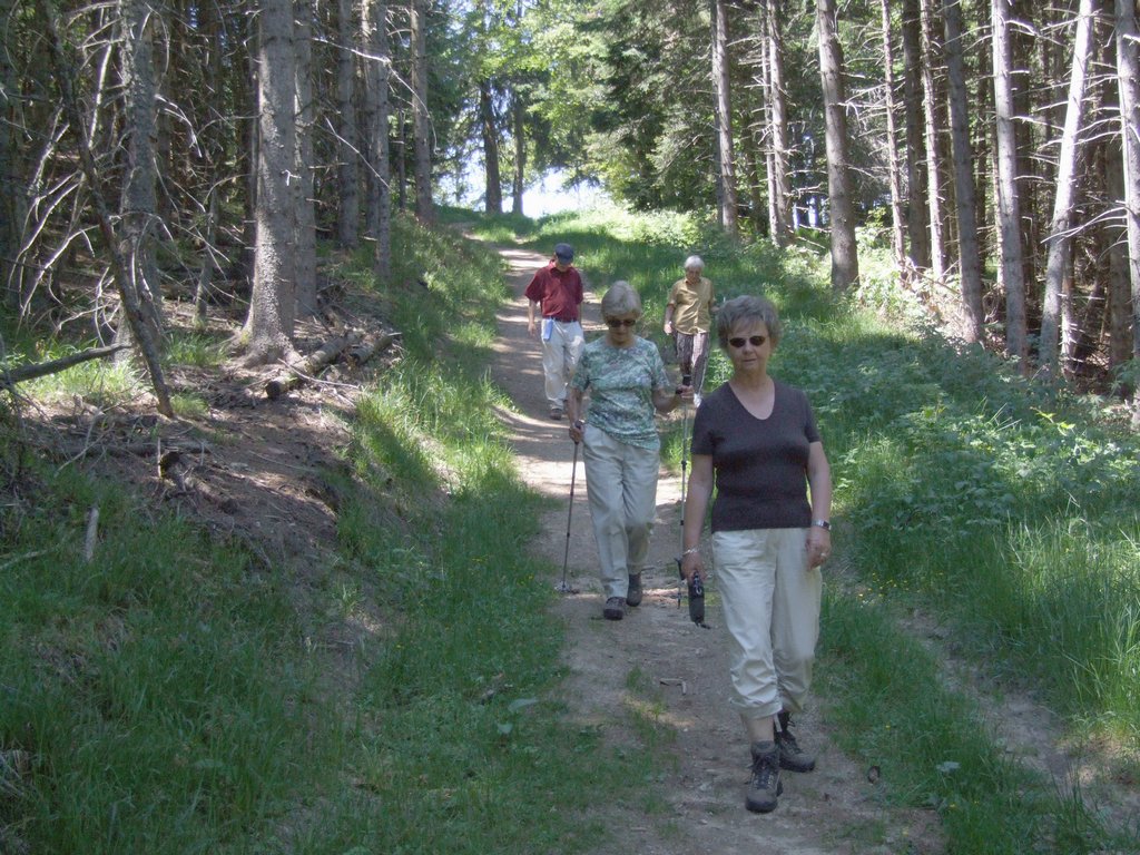 Cliquer pour voir l'image suivante