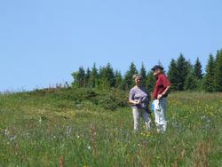 Cliquer pour agrandir l'image (1024x768 pixels; 170 KB)