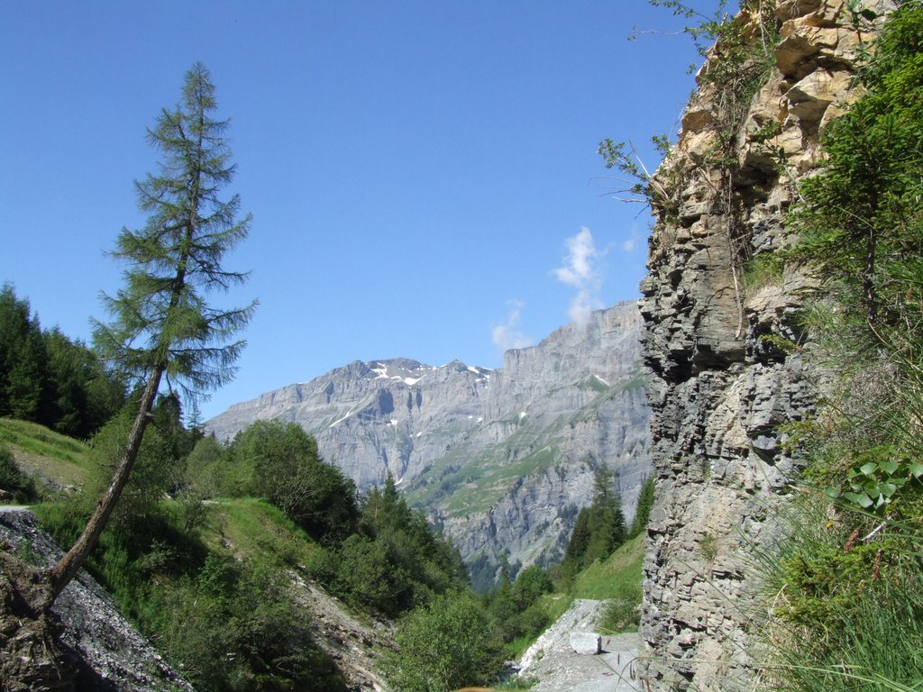 Cliquer pour voir l'image suivante