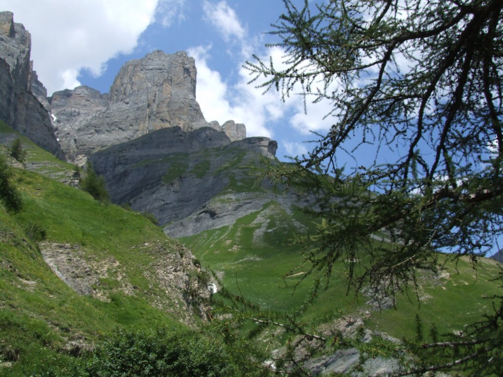 Cliquer pour voir l'image suivante