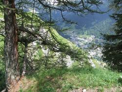 Cliquer pour agrandir l'image (1024x768 pixels; 295 KB)