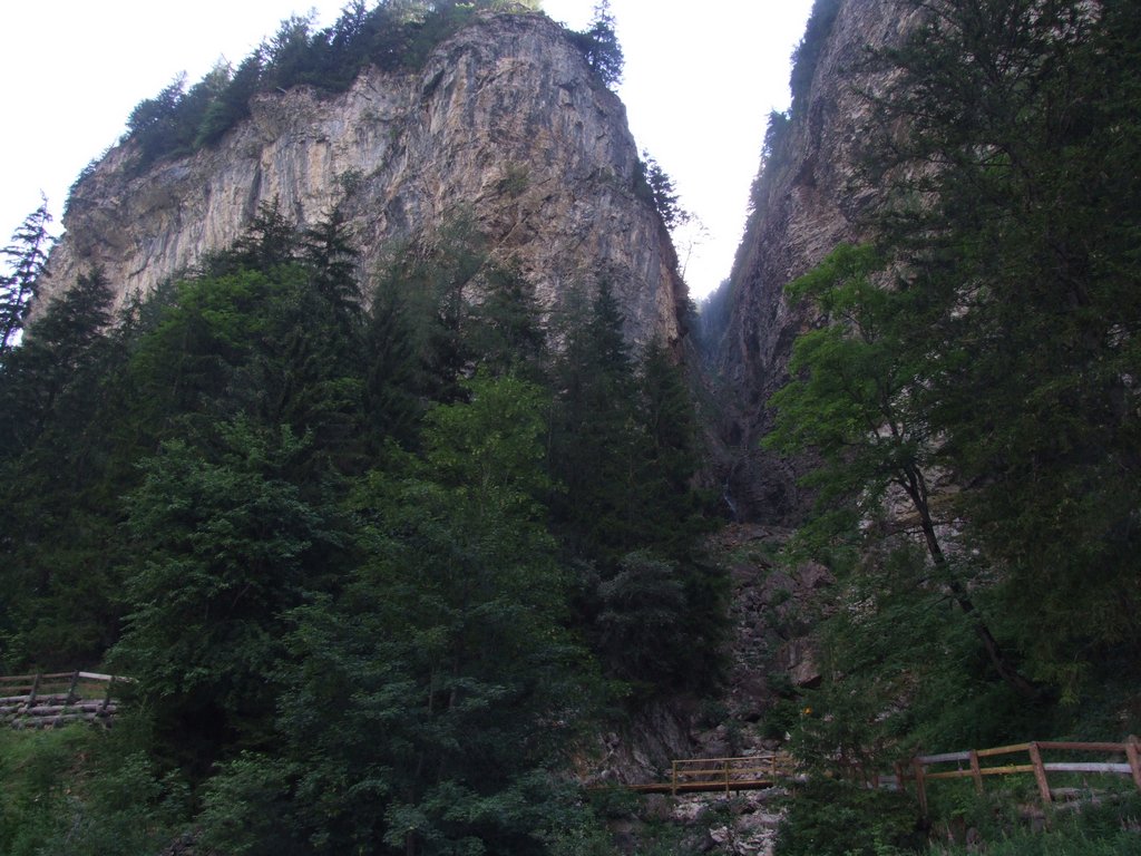 Cliquer pour voir l'image suivante