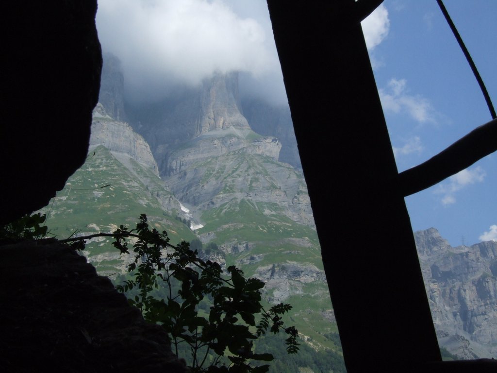 Cliquer pour voir l'image suivante