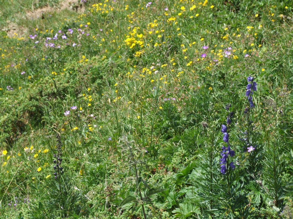 Cliquer pour voir l'image suivante