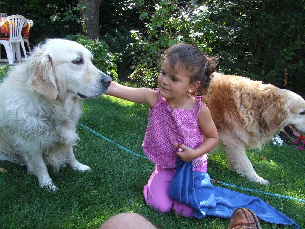 Cliquer pour voir l'image suivante