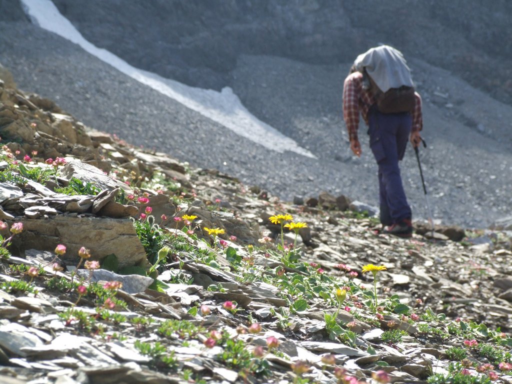 Cliquer pour voir l'image suivante