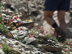 Cliquer pour agrandir l'image (1024x768 pixels; 136 KB)