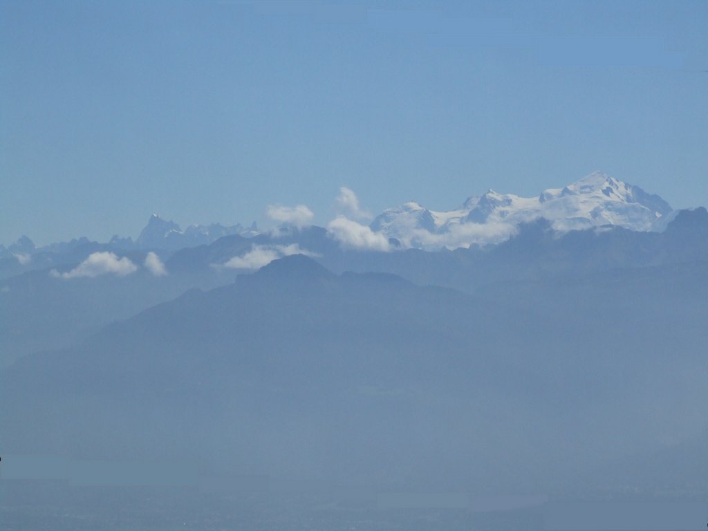 Cliquer pour voir l'image suivante