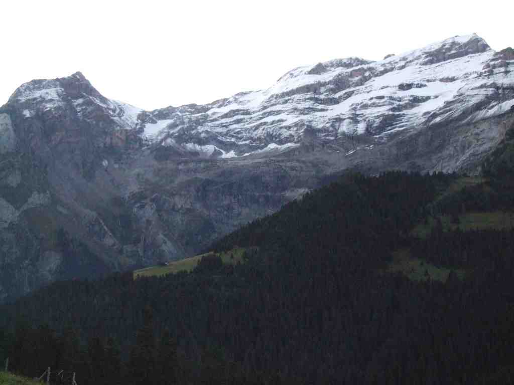 Cliquer pour voir l'image suivante