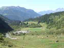 Cliquer pour agrandir l'image (1024x768 pixels; 51 KB)