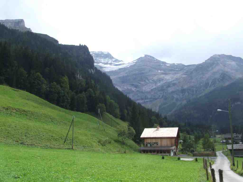 Cliquer pour voir l'image suivante