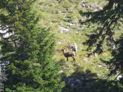 Cliquer pour agrandir l'image (1024x768 pixels; 72 KB)