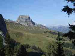 Cliquer pour agrandir l'image (1024x768 pixels; 41 KB)