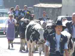 Cliquer pour agrandir l'image (2592x1944 pixels; 14762 KB)