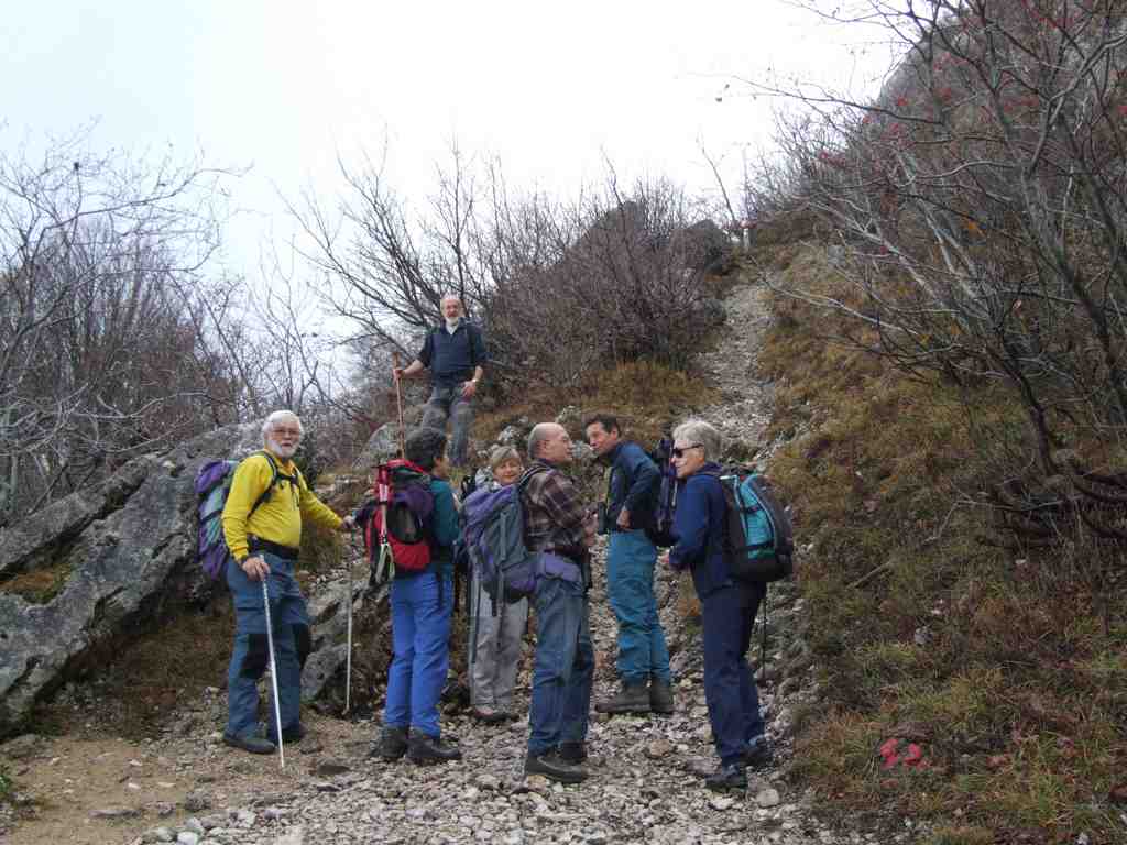 Cliquer pour voir l'image suivante