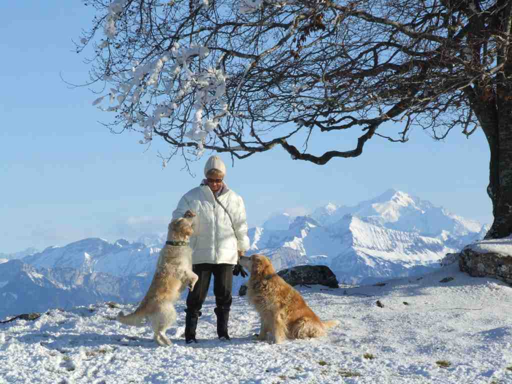 Cliquer pour voir l'image suivante