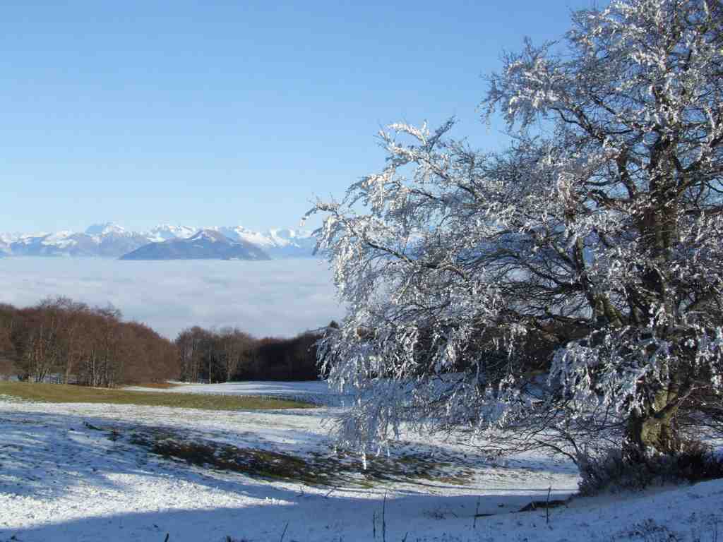 Cliquer pour voir l'image suivante