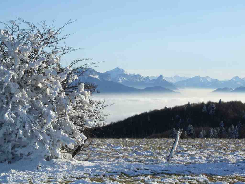 Cliquer pour voir l'image suivante