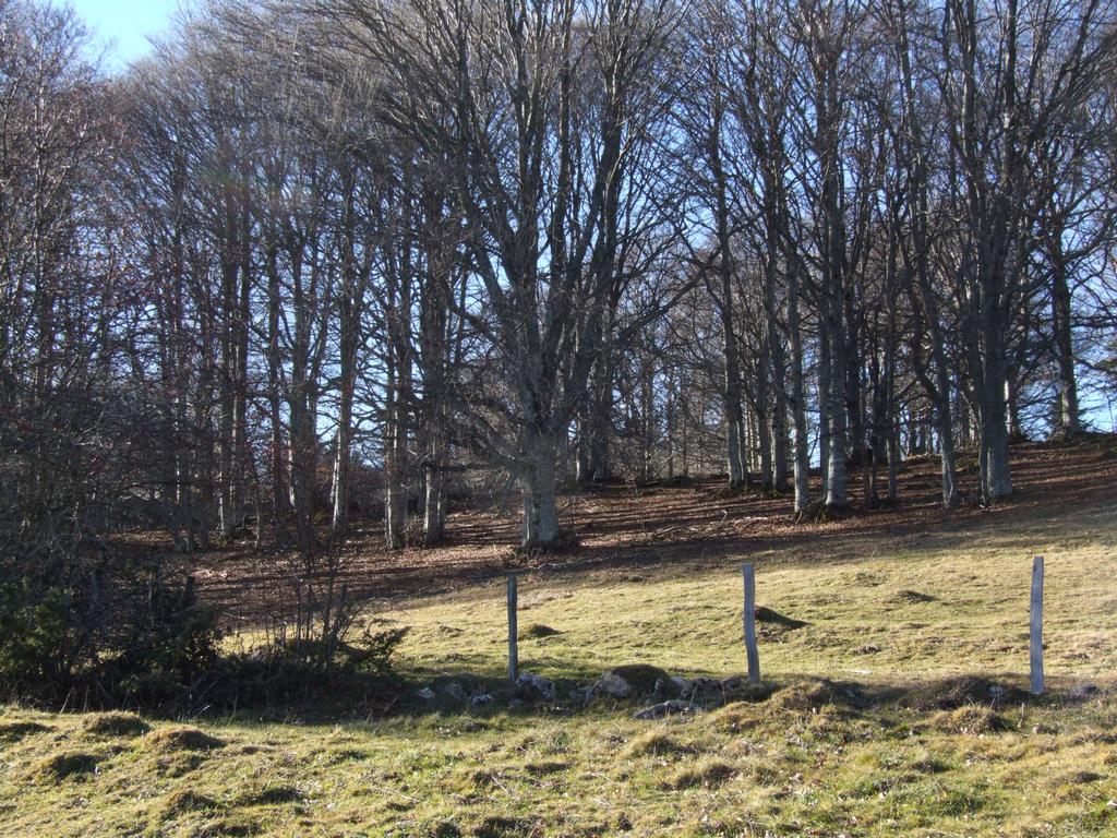 Cliquer pour voir l'image suivante