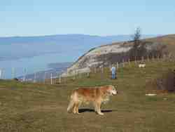 Cliquer pour agrandir l'image (1024x768 pixels; 38 KB)