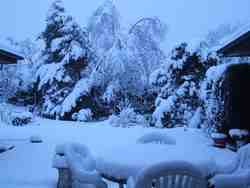 Cliquer pour agrandir l'image (2592x1944 pixels; 14762 KB)