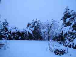 Cliquer pour agrandir l'image (2592x1944 pixels; 14762 KB)