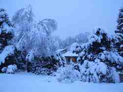 Cliquer pour agrandir l'image (2592x1944 pixels; 14762 KB)