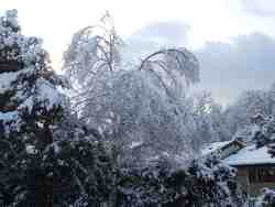 Cliquer pour agrandir l'image (2592x1944 pixels; 14762 KB)