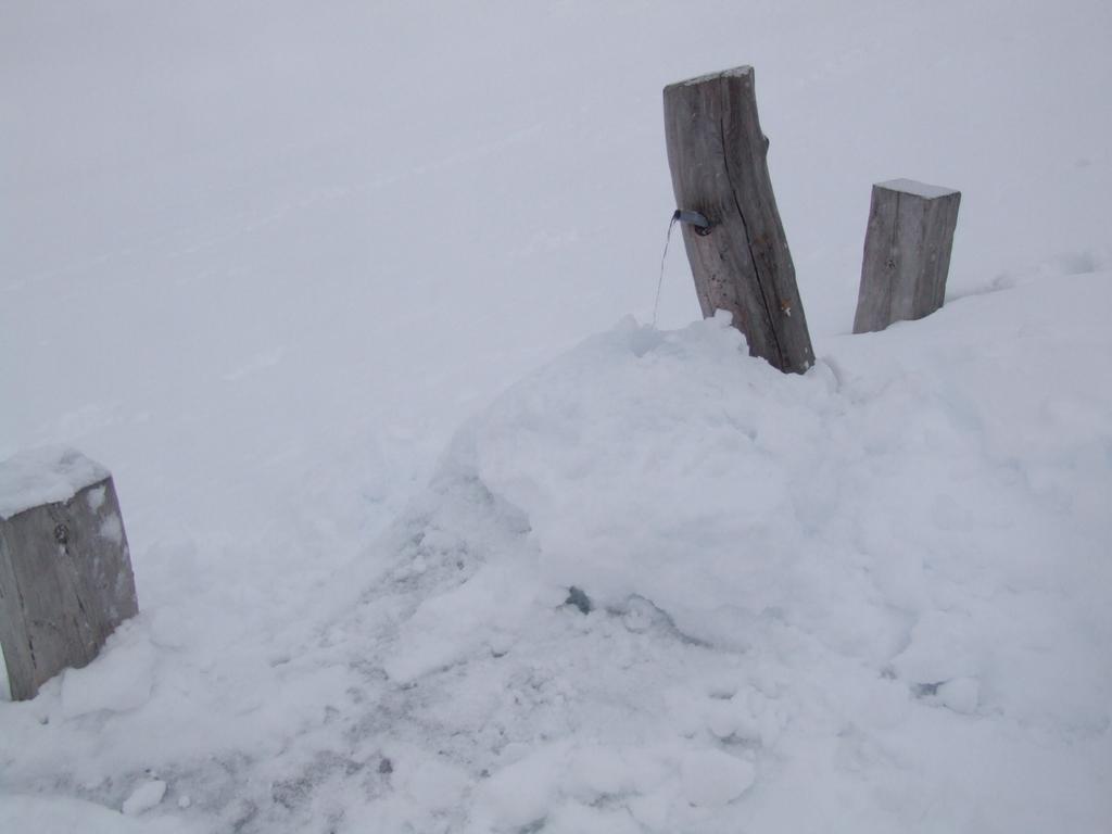 Cliquer pour voir l'image suivante