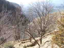 Cliquer pour agrandir l'image (1024x768 pixels; 247 KB)