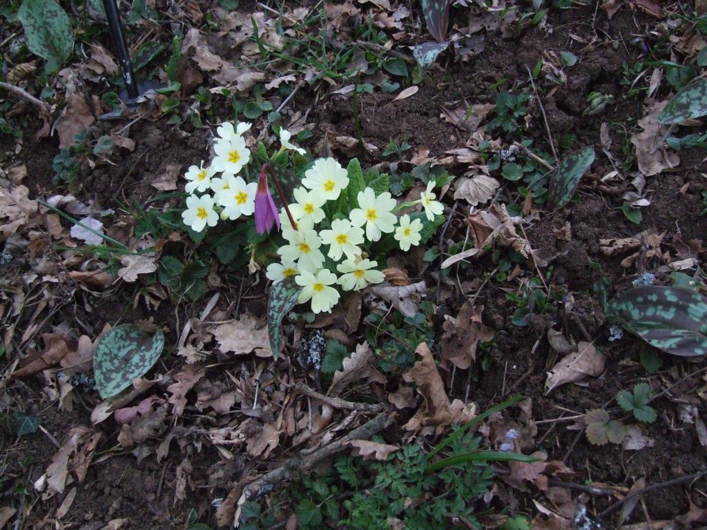 Cliquer pour voir l'image suivante