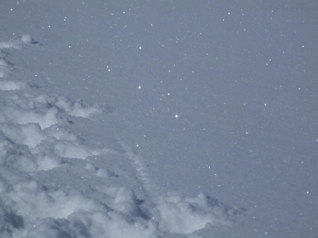 Click to see next picture