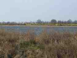 Cliquer pour agrandir l'image (1024x768 pixels; 125 KB)